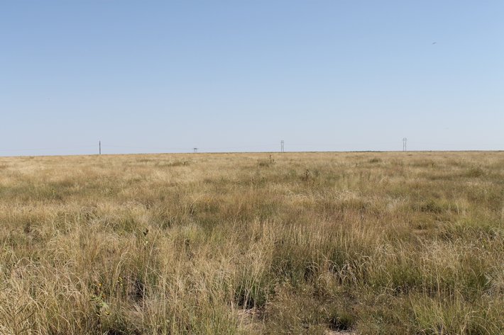 Image for KIOWA COUNTY, CO - CRP