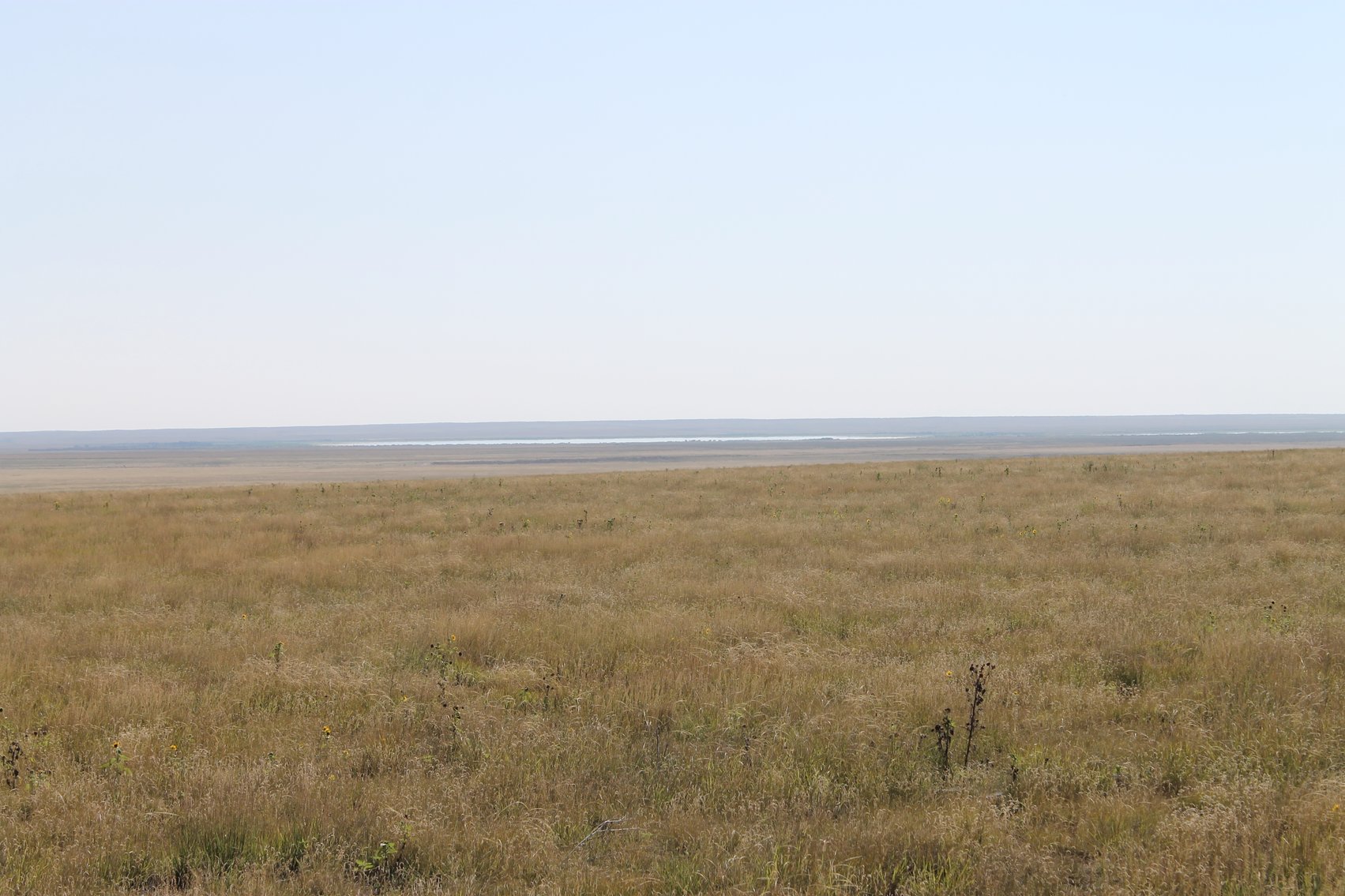 Image for KIOWA COUNTY, CO - CRP