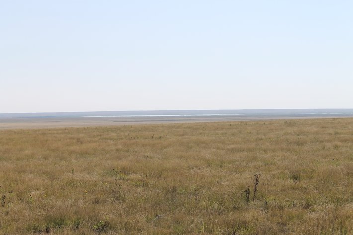 Image for KIOWA COUNTY, CO - CRP