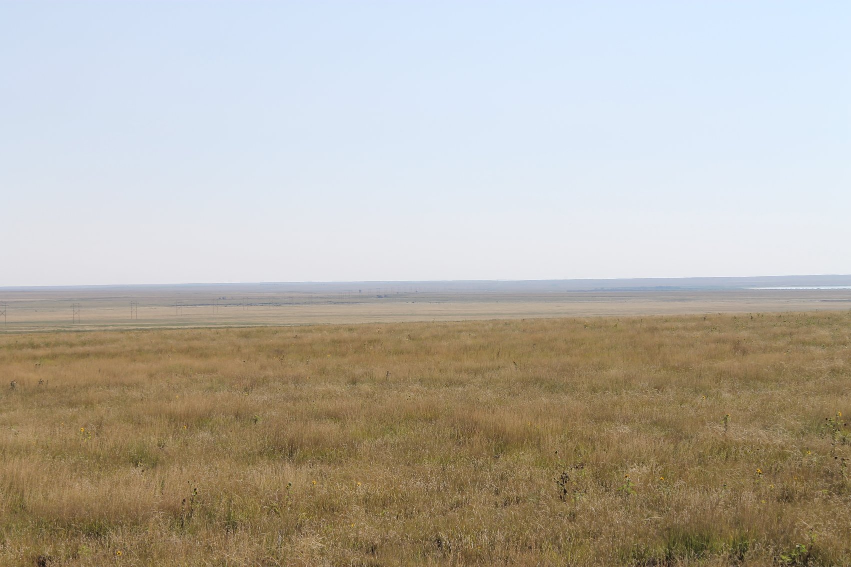 Image for KIOWA COUNTY, CO - CRP