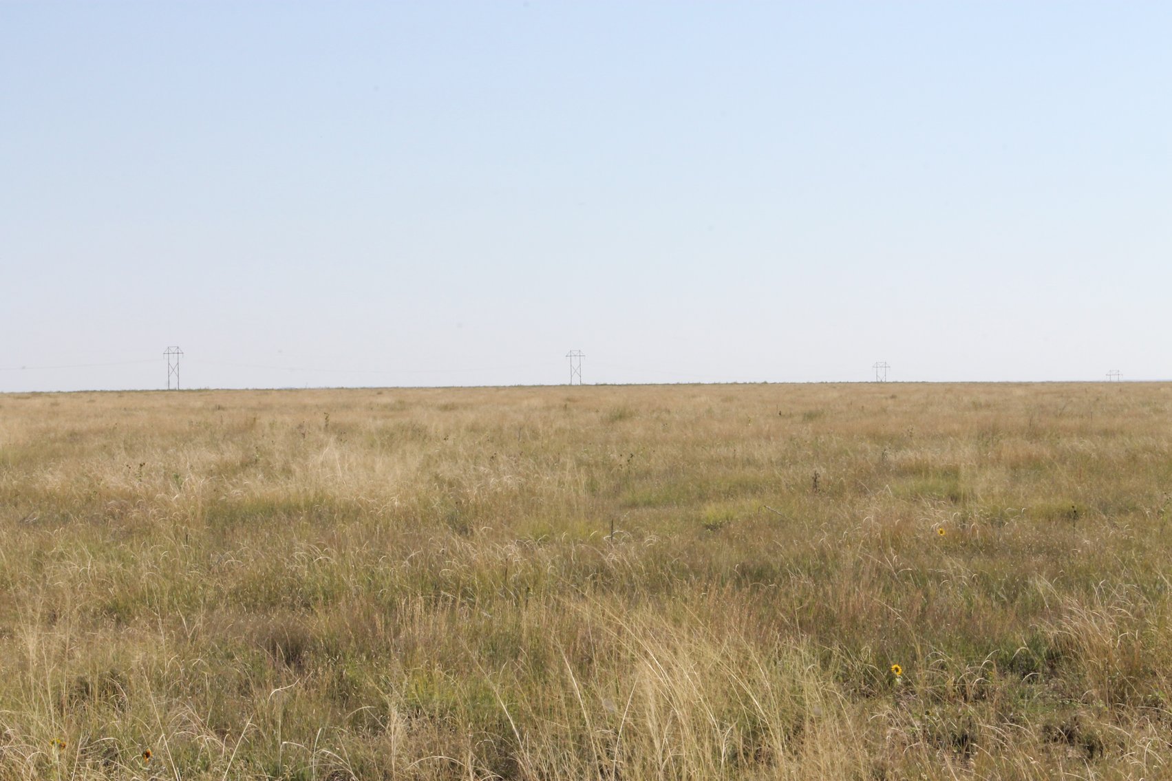 Image for KIOWA COUNTY, CO - CRP