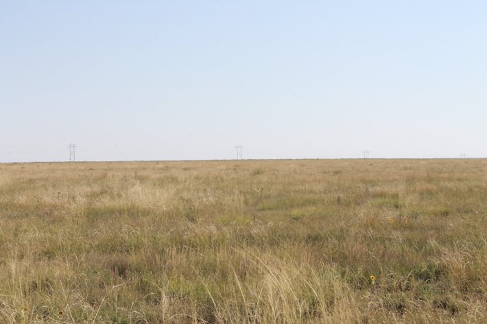 Image for KIOWA COUNTY, CO - CRP