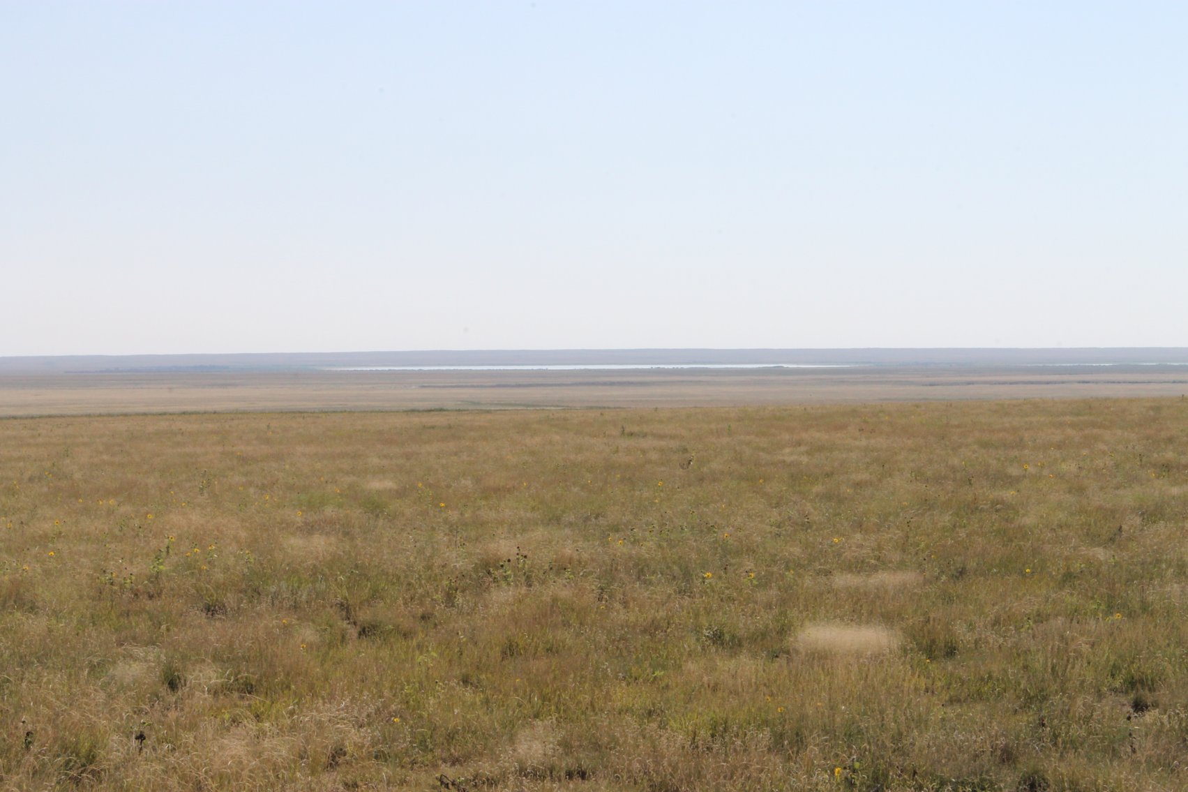 Image for KIOWA COUNTY, CO - CRP