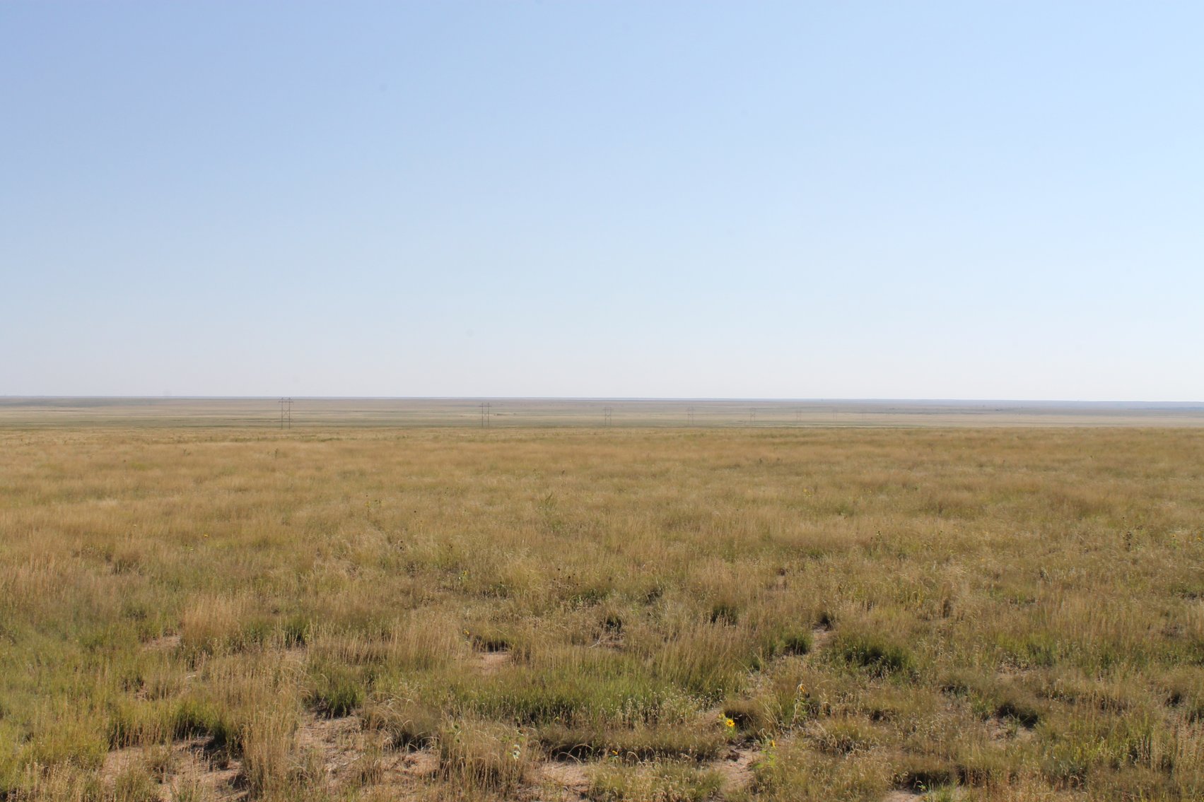 Image for KIOWA COUNTY, CO - CRP