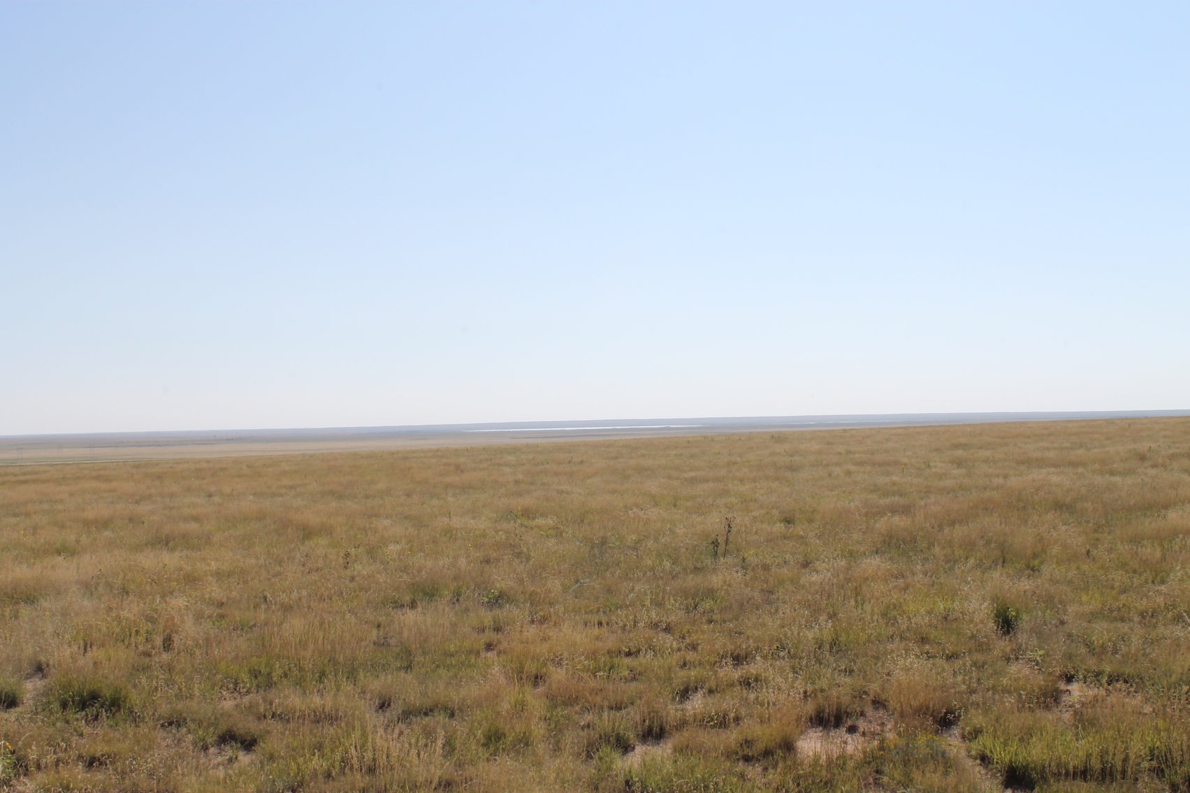 Image for KIOWA COUNTY, CO - CRP