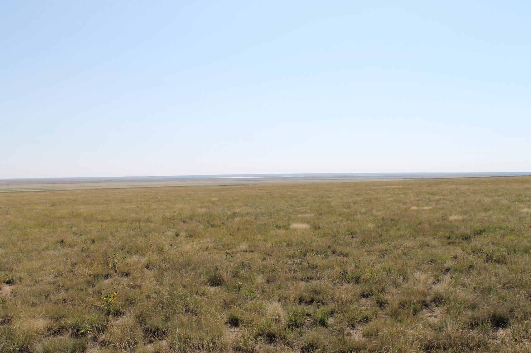 Image for KIOWA COUNTY, CO - CRP