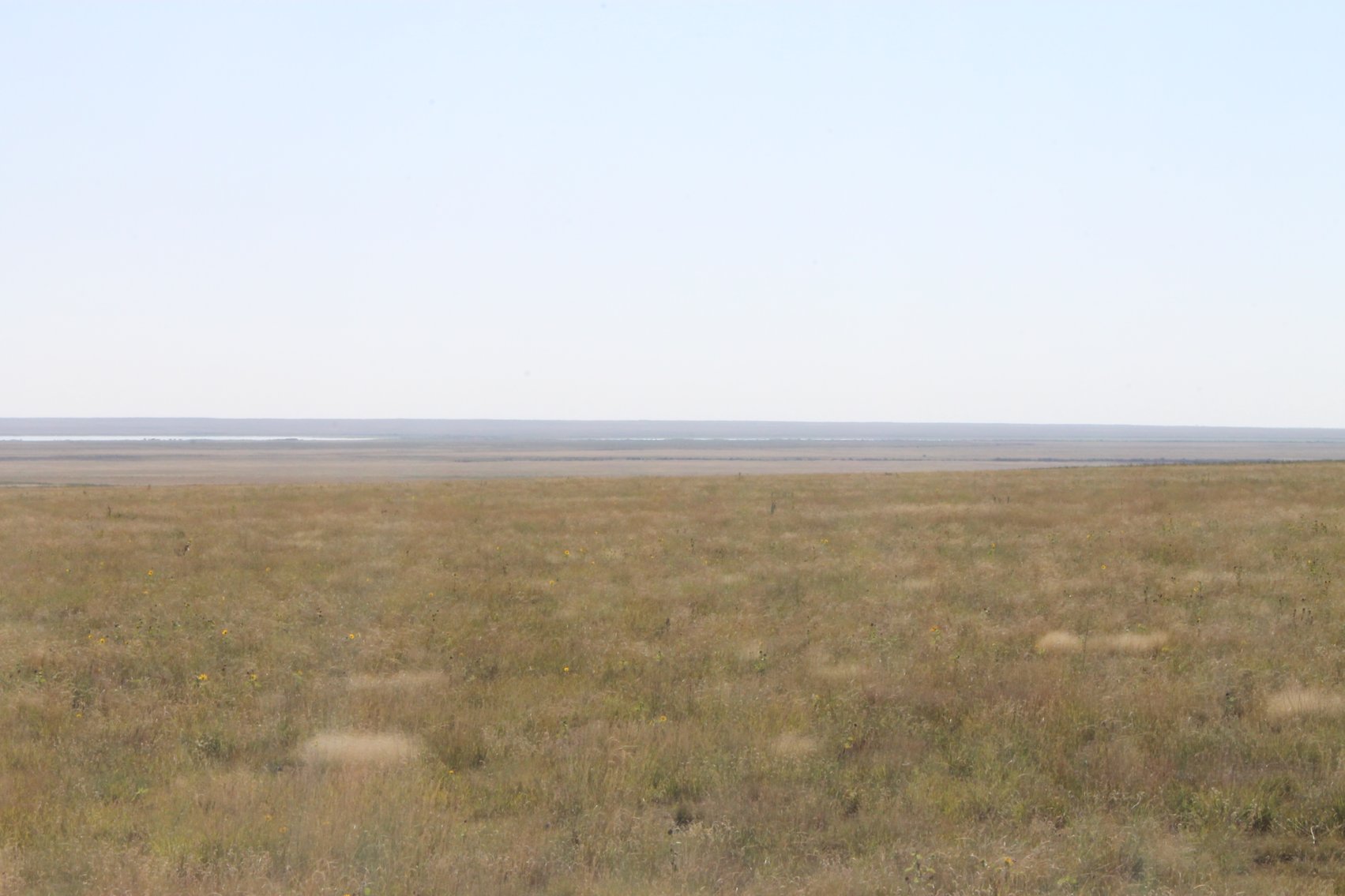 Image for KIOWA COUNTY, CO - CRP