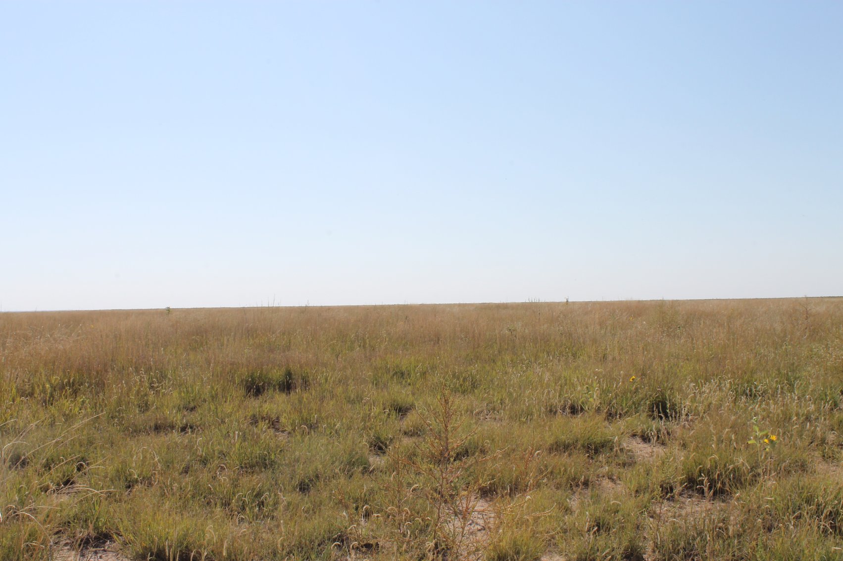 Image for KIOWA COUNTY, CO - CRP