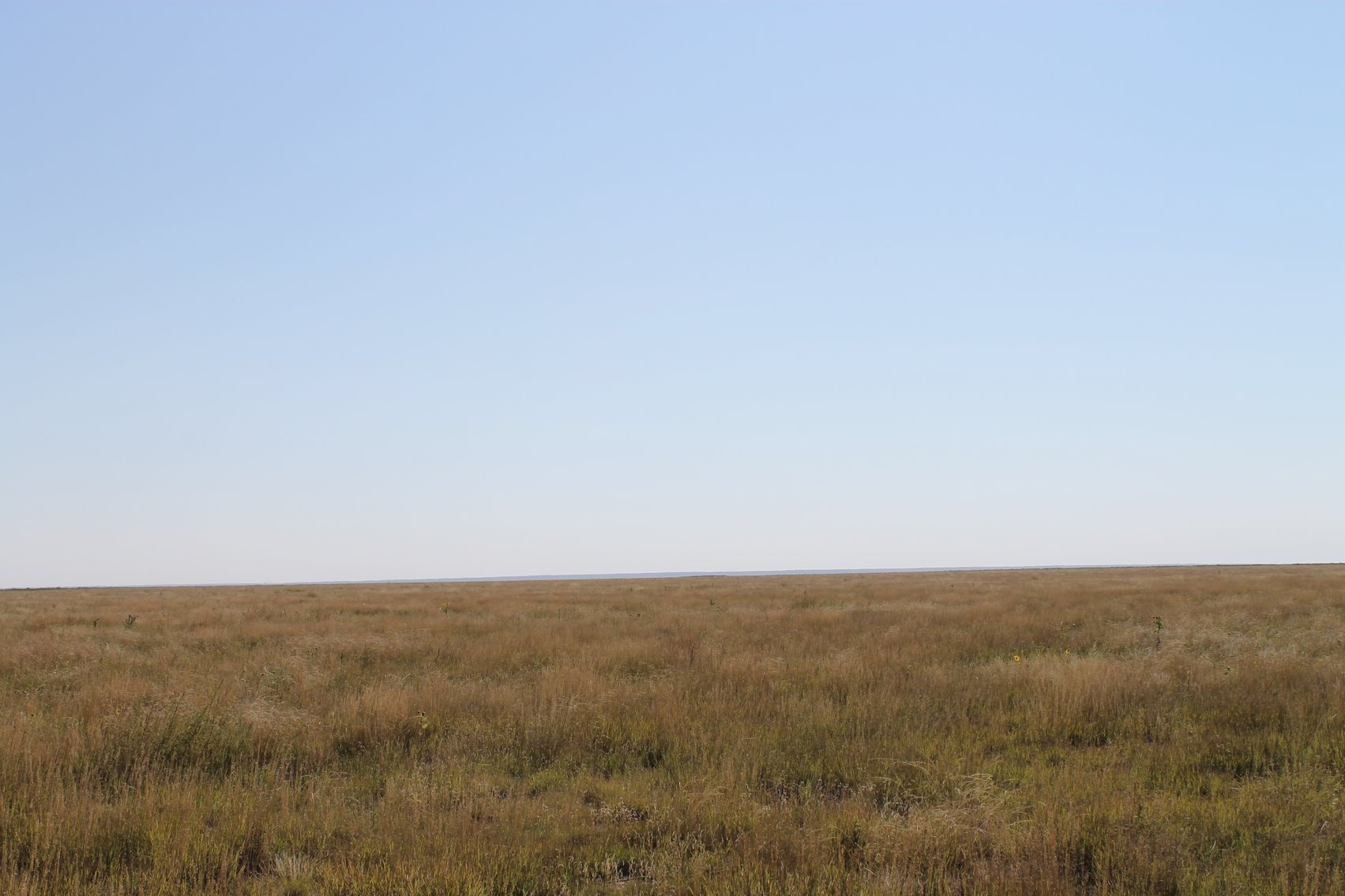 Image for KIOWA COUNTY, CO - CRP