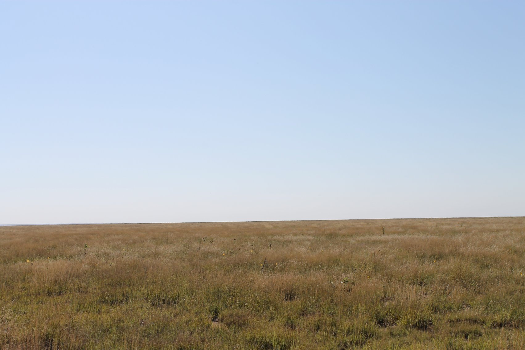 Image for KIOWA COUNTY, CO - CRP