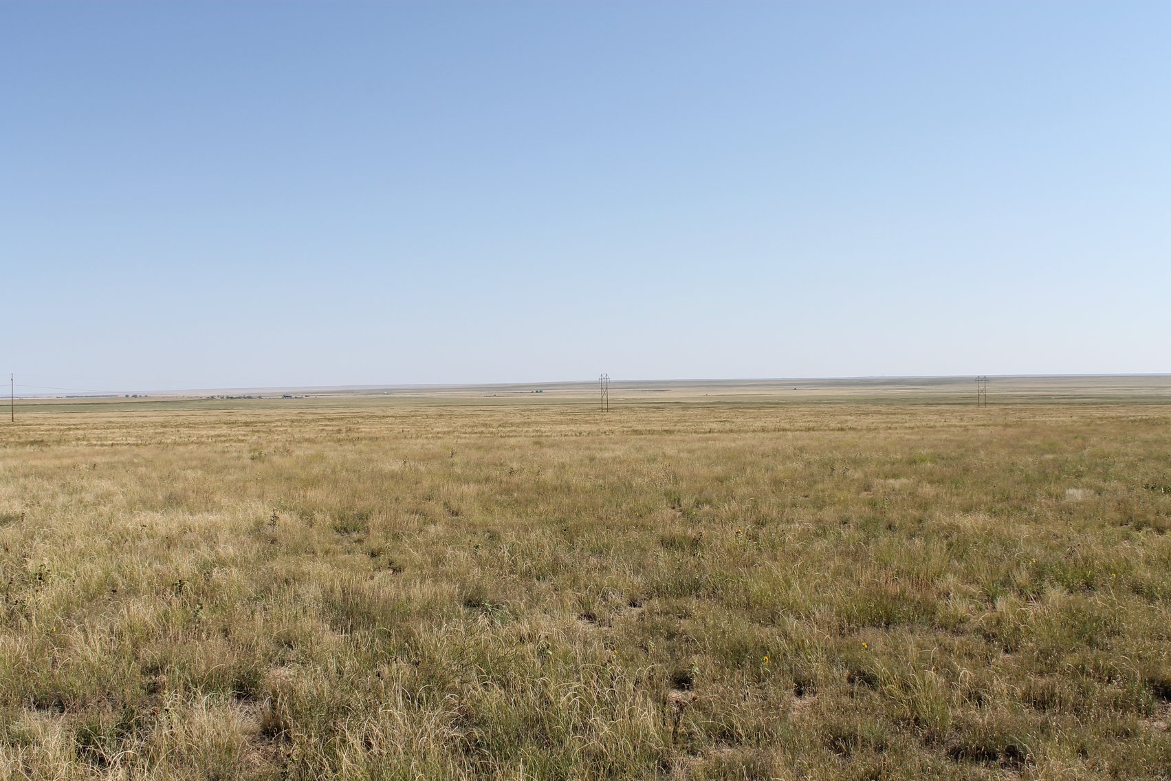 Image for KIOWA COUNTY, CO - CRP