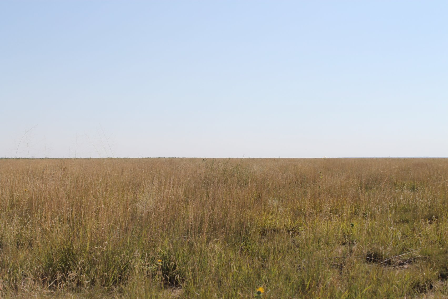 Image for KIOWA COUNTY, CO - CRP