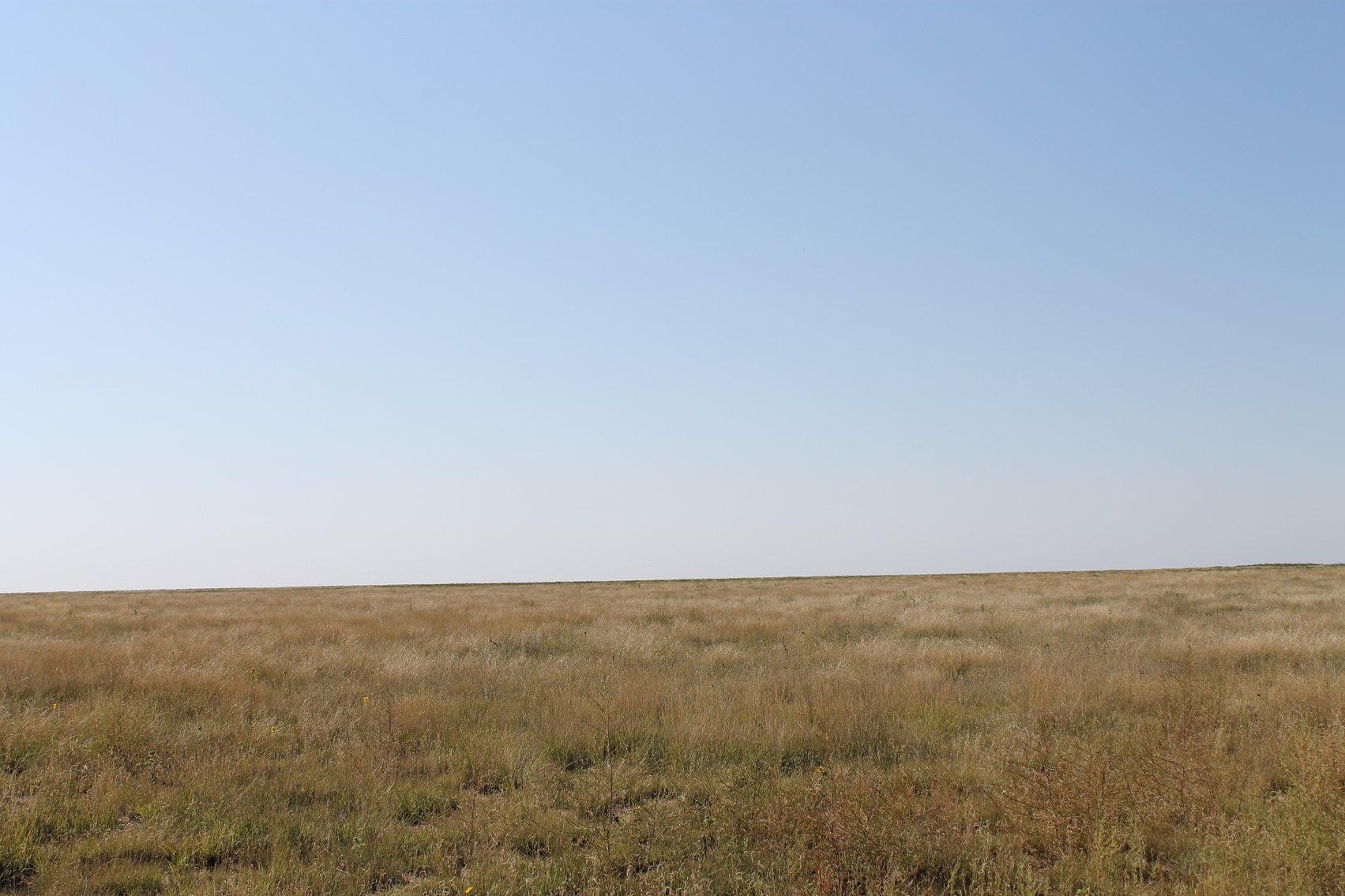 Image for KIOWA COUNTY, CO - CRP