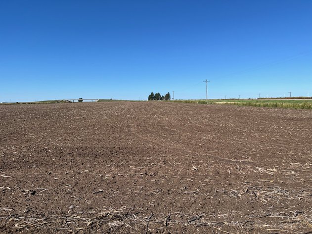 Image for SHERMAN COUNTY, KS - CROPLAND & GRASS