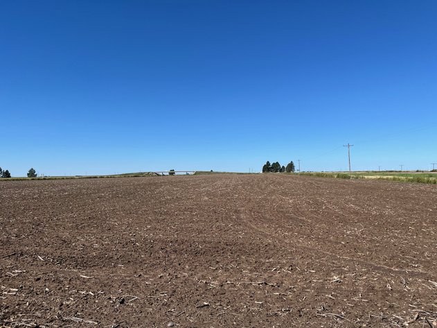 Image for SHERMAN COUNTY, KS - CROPLAND & GRASS