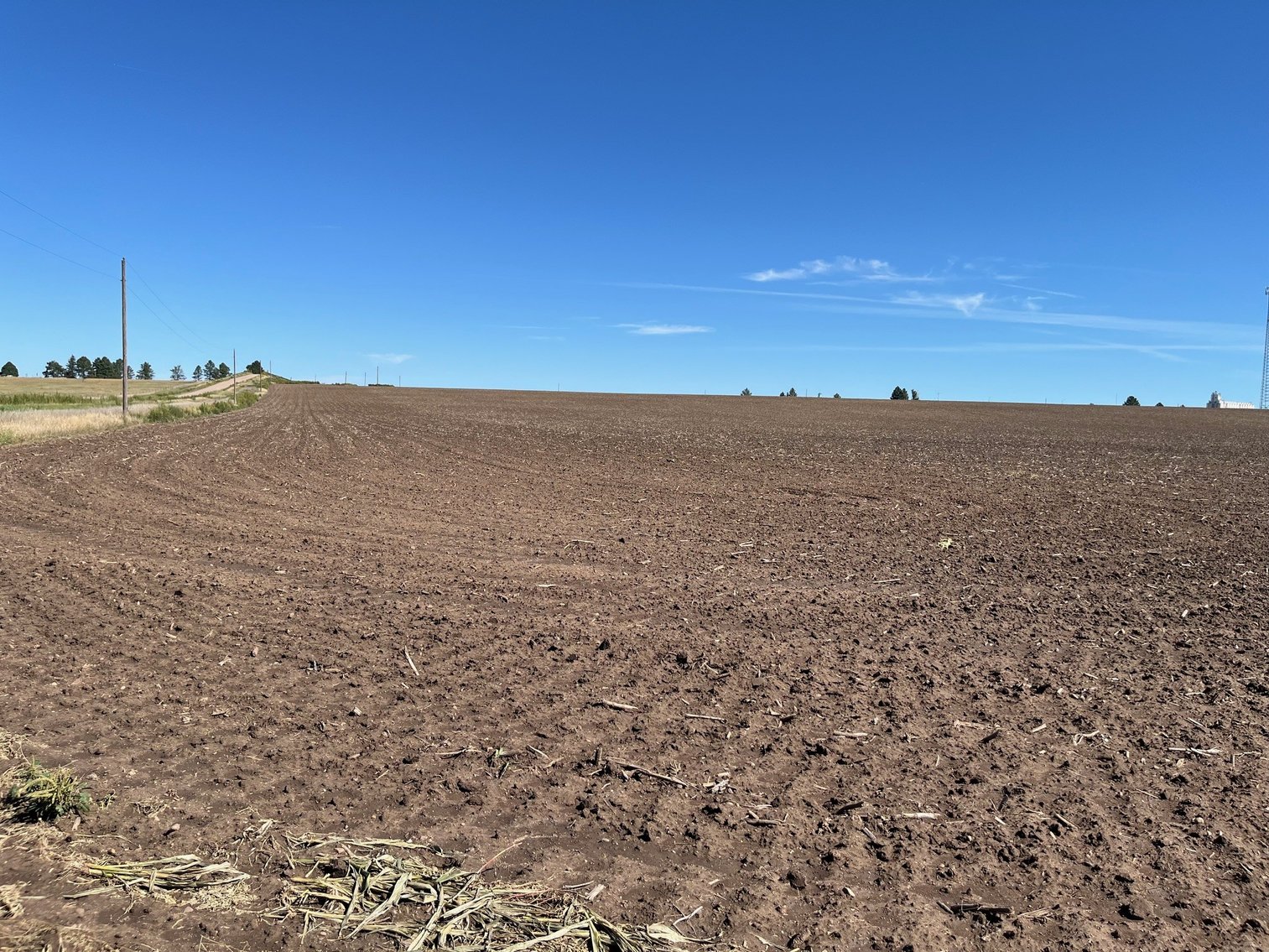 Image for SHERMAN COUNTY, KS - CROPLAND & GRASS