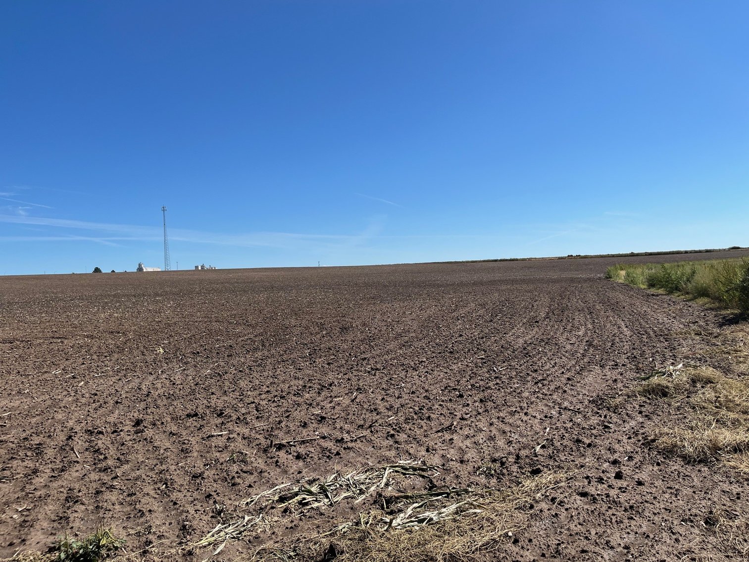 Image for SHERMAN COUNTY, KS - CROPLAND & GRASS