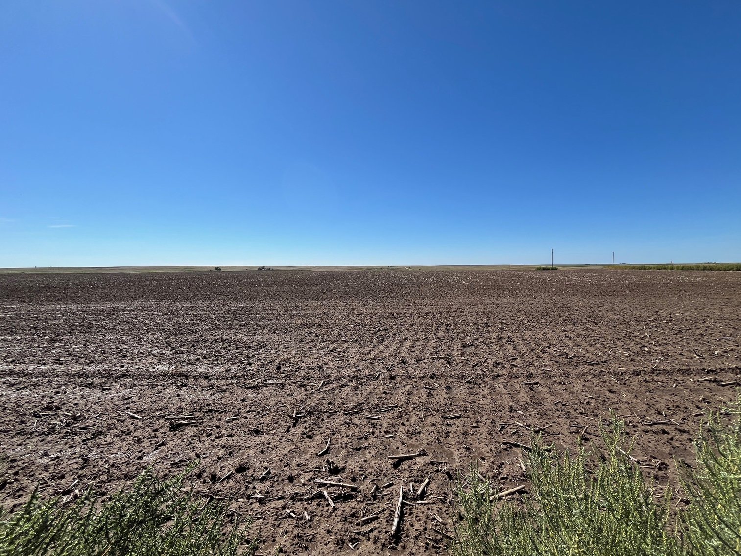 Image for SHERMAN COUNTY, KS - CROPLAND & GRASS