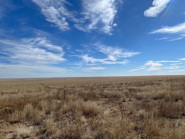 Image for CROWLEY COUNTY, CO - CRP LAND (C4087)