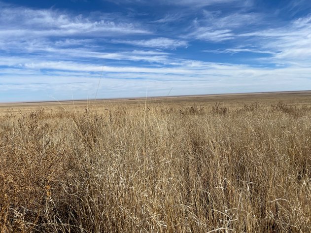 Image for CROWLEY COUNTY, CO - CRP LAND (C4087)