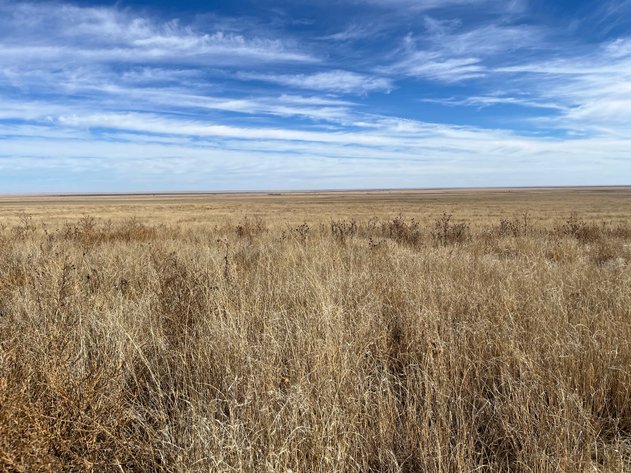Image for CROWLEY COUNTY, CO - CRP LAND (C4087)