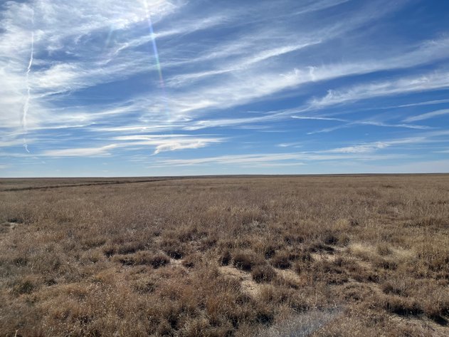 Image for KIOWA COUNTY, CO - CRP LAND