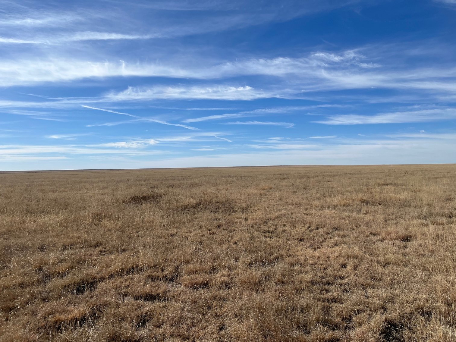 Image for KIOWA COUNTY, CO - CRP LAND