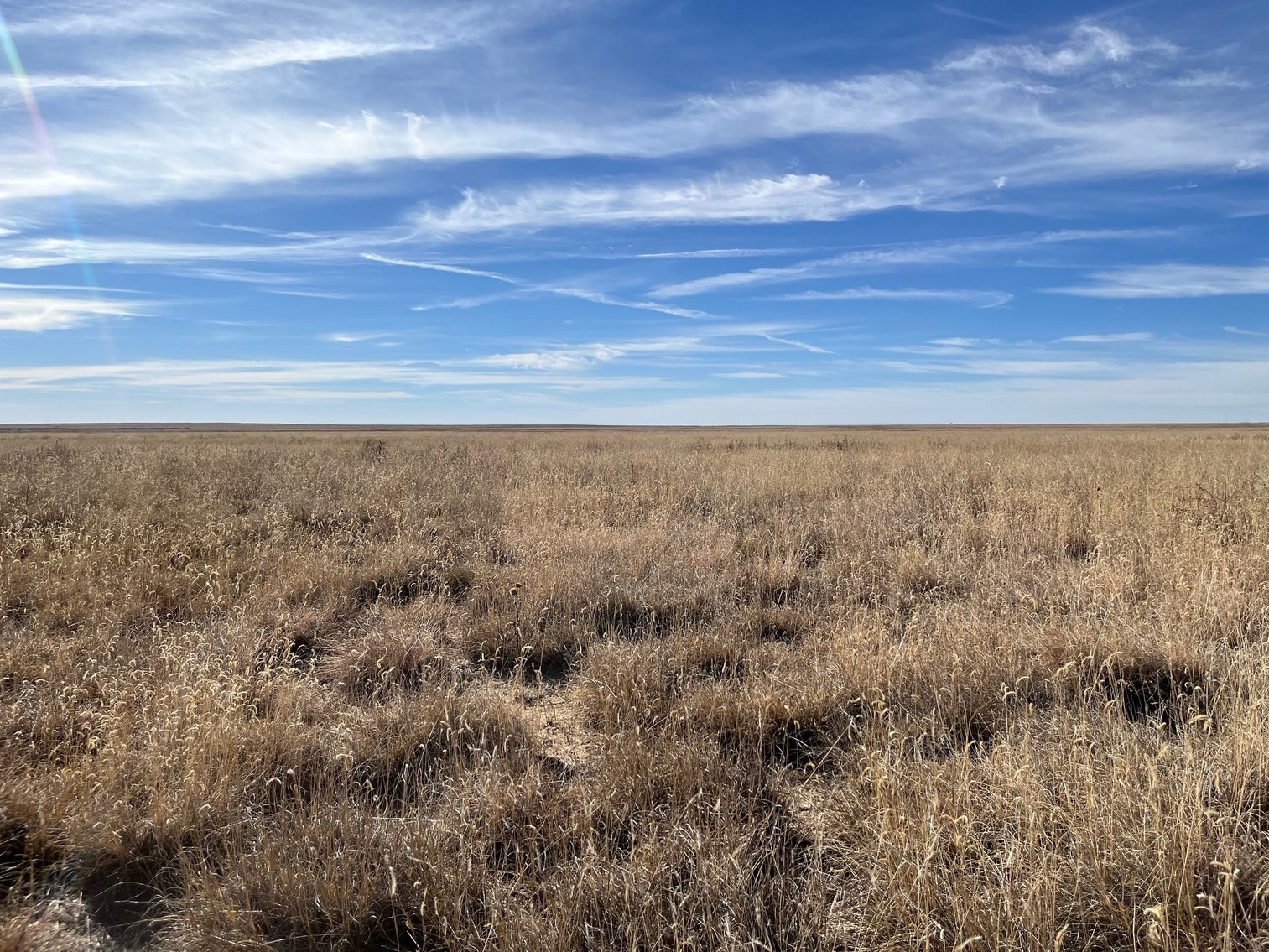 Image for KIOWA COUNTY, CO - CRP LAND