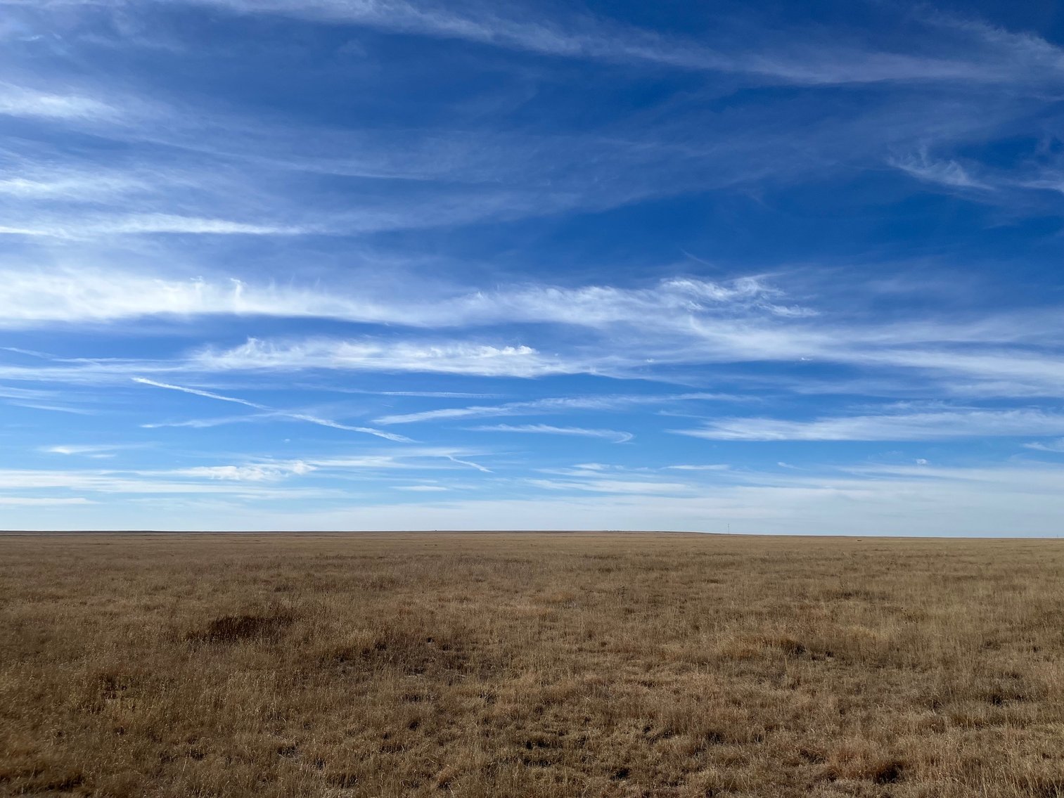 Image for KIOWA COUNTY, CO - CRP LAND