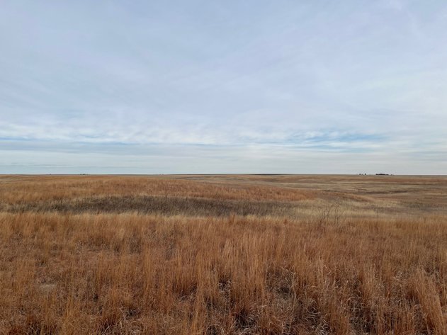 Image for WALLACE COUNTY, KS - EXPIRED CRP