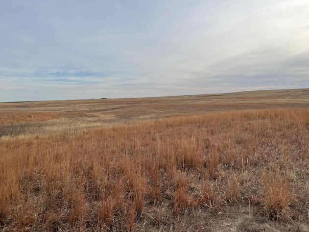 Image for WALLACE COUNTY, KS - EXPIRED CRP