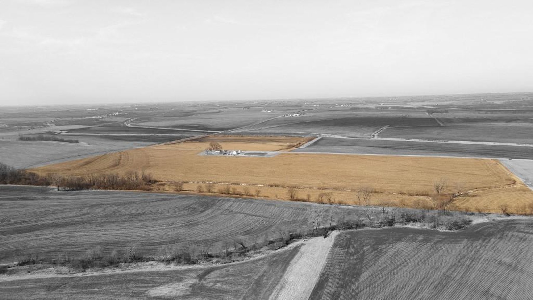 Image for Timothy Lageman Farm Land
