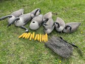 Goose Decoys