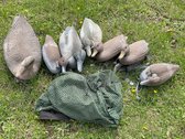 Duck Decoys w/Weights