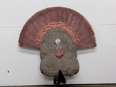 Turkey Decoy
