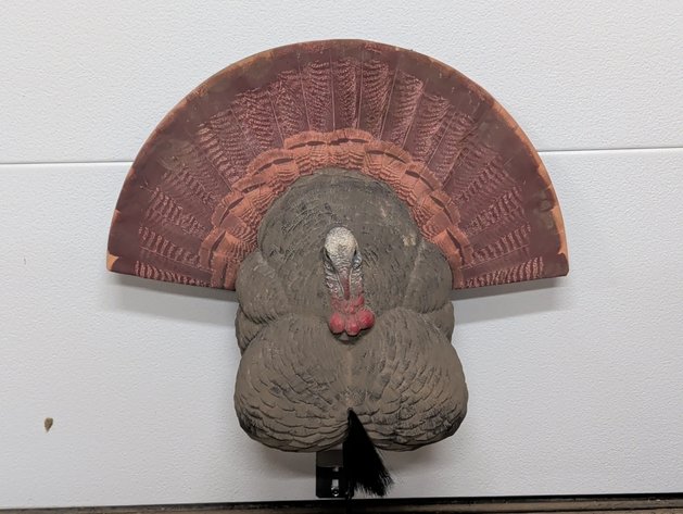 Image for Turkey Decoy