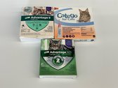 Advantage XD & Catego Flea Treatment