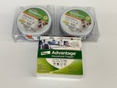 Avantect 11 Flea And Tick Collars