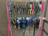 Dog Leashes & Collars