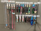 Dog Leashes & Collars