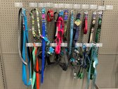 Dog Leashes & Collars