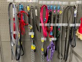 Dog Leashes & Collars