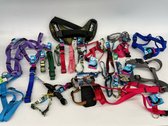 Dog Harnesses And Collars