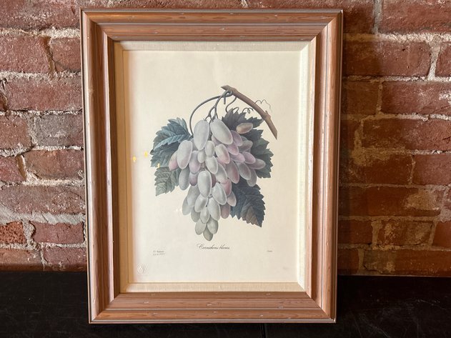 Image for 