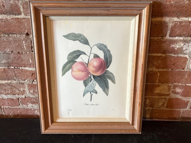Image for 