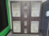 Small Animal Display Cabinet