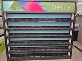 Betta Fish Display