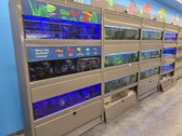 Marineland Retail Store Aquariums