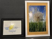Framed Decor