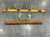 Five Sets Of Whitetail Deer Antlers
